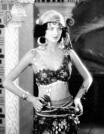 The Desert Song (1929) Starring John Boles on DVD - Image 3