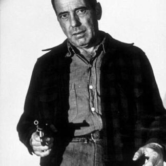 The Desperate Hours (1955) Starring Humphrey Bogart on DVD