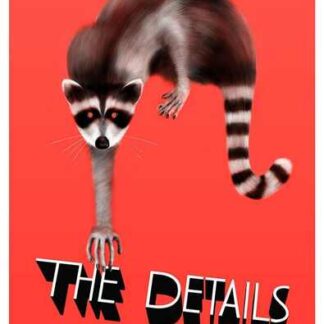 The Details (2011) Starring Tobey Maguire on DVD