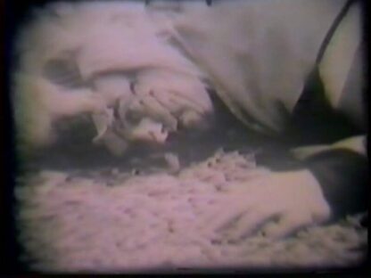 The Diane Linkletter Story (1970) Starring David Lochary on DVD - Image 2