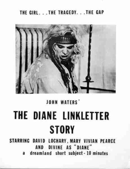 The Diane Linkletter Story (1970) Starring David Lochary on DVD - Image 5