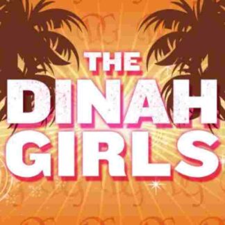 The Dinah Girls (2011) Starring Aubrey on DVD