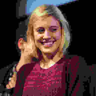 The Dish & the Spoon (2011) Starring Greta Gerwig on DVD