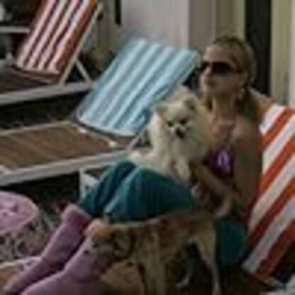 The Dog Problem (2006) Starring Giovanni Ribisi on DVD - Image 4