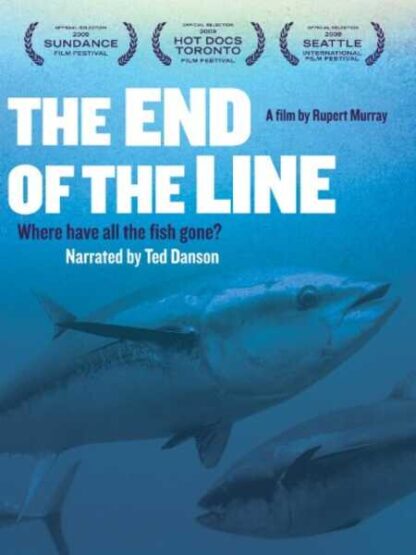 The End of the Line (2009) Starring Ben Bradshaw on DVD