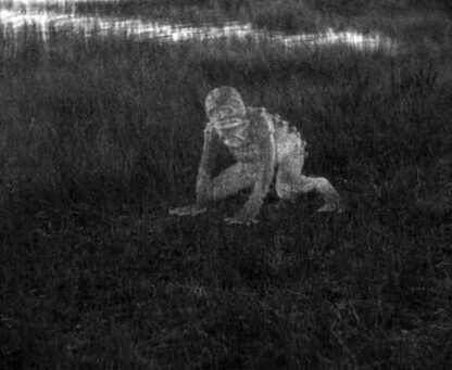 The Erl King (1931) with English Subtitles on DVD - Image 4