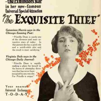 The Exquisite Thief (1919) with English Subtitles on DVD