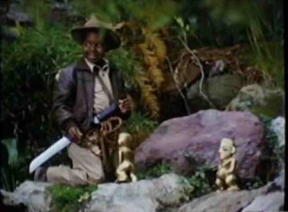 The Fantastic World of D.C. Collins (1984) Starring Gary Coleman on DVD - Image 3