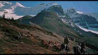 The Far Country (1954) Starring James Stewart on DVD - Image 4