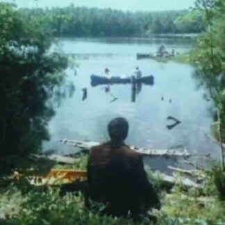 The Far Shore (1976) Starring Céline Lomez on DVD