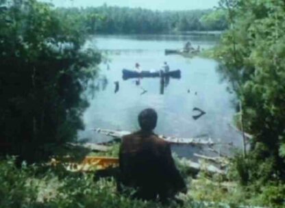 The Far Shore (1976) Starring Céline Lomez on DVD