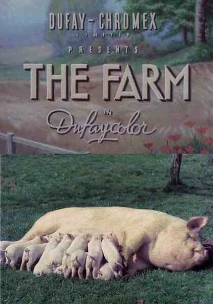 The Farm (1938) Starring on DVD