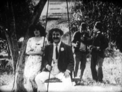 The Fatal Mallet (1914) with English Subtitles on DVD - Image 2