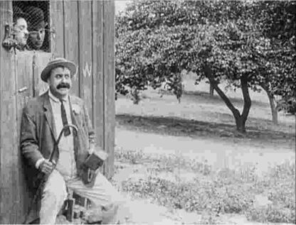 The Fatal Mallet (1914) with English Subtitles on DVD - Image 3
