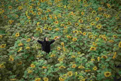 The Fifth Reaction (2003) with English Subtitles on DVD - Image 2