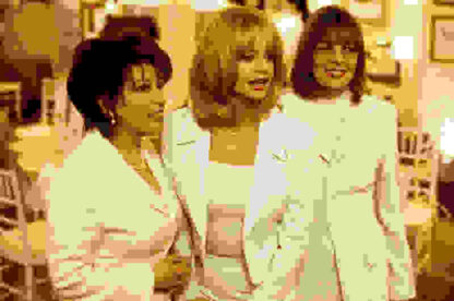 The First Wives Club (1996) Starring Goldie Hawn on DVD - Image 2