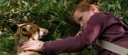 The Fox and the Child (2007) with English Subtitles on DVD - Image 3