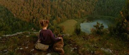 The Fox and the Child (2007) with English Subtitles on DVD - Image 4