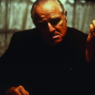The Freshman (1990) Starring Marlon Brando on DVD