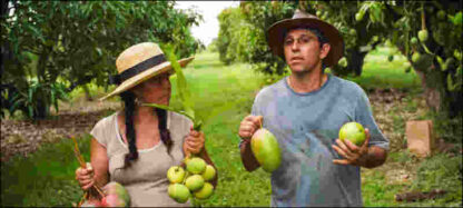 The Fruit Hunters (2012) Starring Kyle Allatt on DVD - Image 2