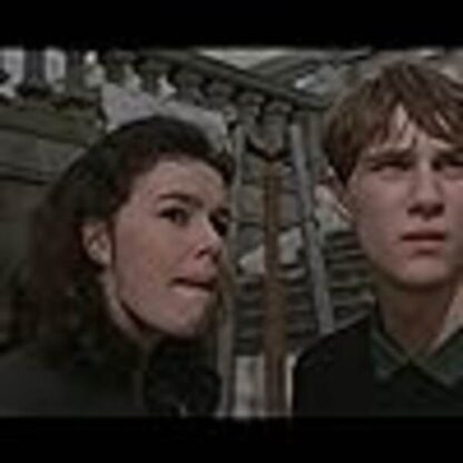 The Fruit Machine (1988) Starring Emile Charles on DVD - Image 2