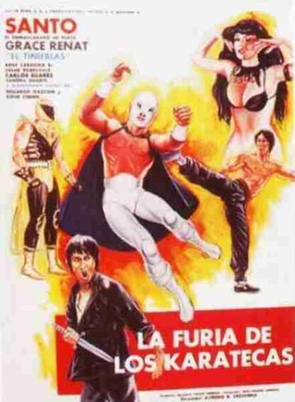 The Fury of the Karate Experts (1982) with English Subtitles on DVD - Image 2