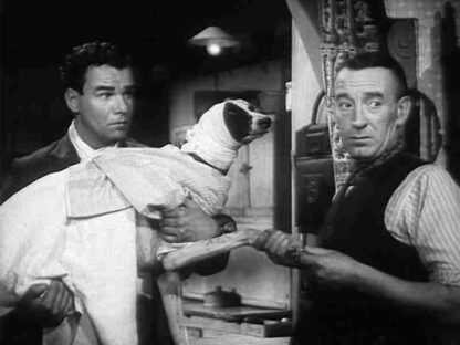 The Gay Dog (1954) Starring Wilfred Pickles on DVD - Image 2