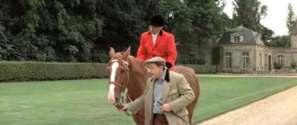The Gendarme Takes Off (1970) with English Subtitles on DVD - Image 4