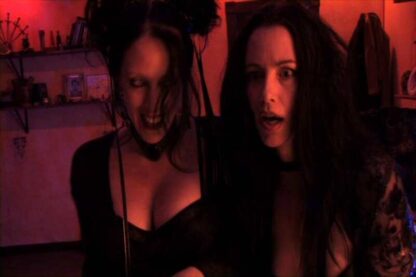 The Good Sisters (2009) Starring Debbie Rochon on DVD - Image 3