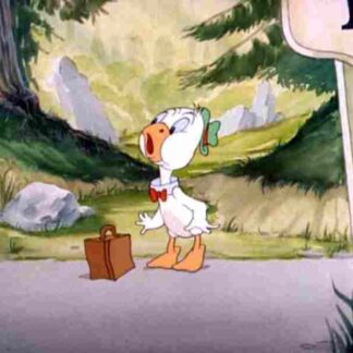 The Goose Goes South (1941) Starring Sara Berner on DVD