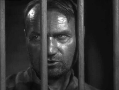 The Great Consoler (1933) with English Subtitles on DVD - Image 3