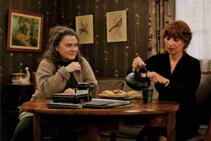 The Hedgehog (2009) with English Subtitles on DVD - Image 3