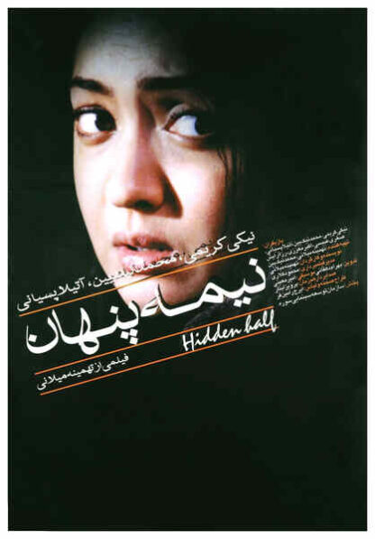 The Hidden Half (2001) with English Subtitles on DVD - Image 4