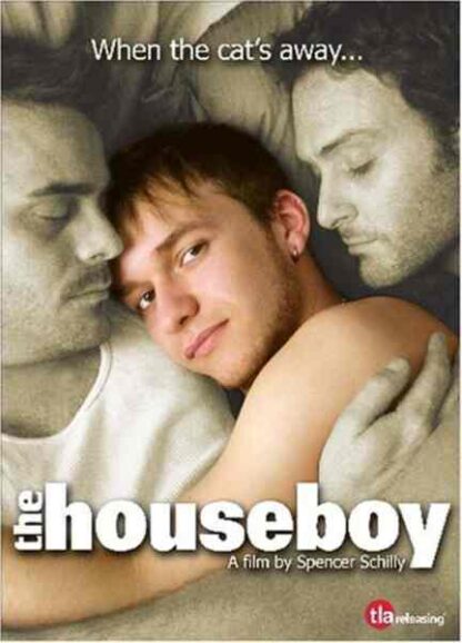 The Houseboy (2007) Starring Nick May on DVD - Image 3