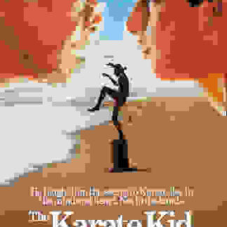 The Karate Kid (1984) Starring Ralph Macchio on DVD