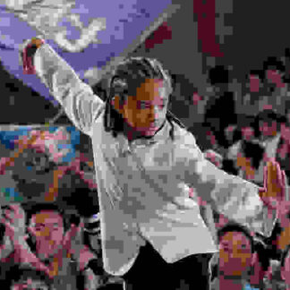 The Karate Kid (2010) Starring Jaden Smith on DVD