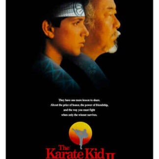 The Karate Kid Part II (1986) Starring Pat Morita on DVD