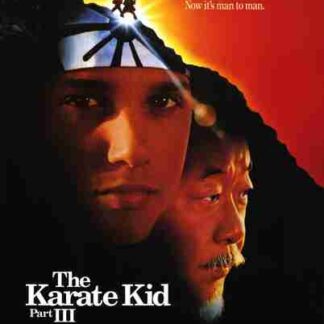 The Karate Kid Part III (1989) Starring Ralph Macchio on DVD