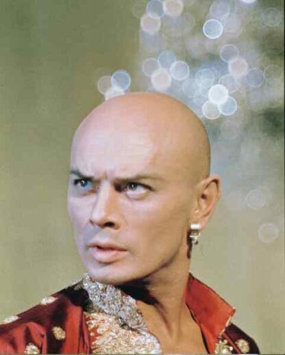 The King and I (1956) Starring Yul Brynner on DVD - Image 2