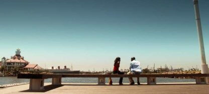 The Last Fall (2012) Starring Lance Gross on DVD - Image 3
