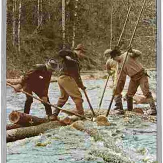 The Last Lumbercamp (1977) with English Subtitles on DVD