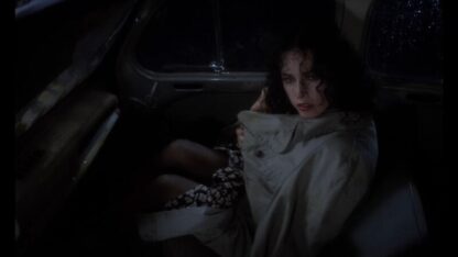 The Last Romantic Lover (1978) with English Subtitles on DVD - Image 3