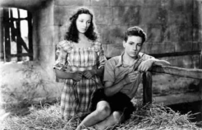 The Last Vacation (1948) with English Subtitles on DVD - Image 4