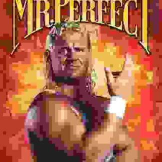 The Life and Times of Mr. Perfect (2008) Starring Brooke Adams on DVD