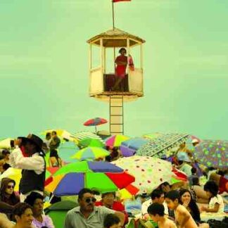 The Lifeguard (2011) with English Subtitles on DVD