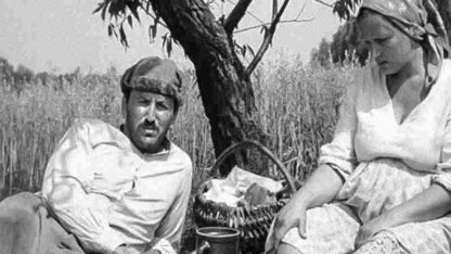 The Linnet (1982) with English Subtitles on DVD - Image 2