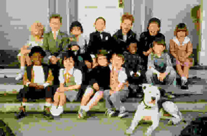 The Little Rascals (1994) Starring Travis Tedford on DVD - Image 4