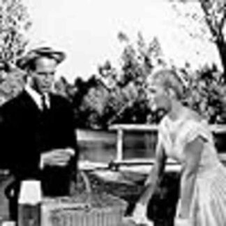 The Long, Hot Summer (1958) Starring Paul Newman on DVD