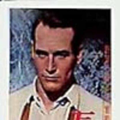 The Long, Hot Summer (1958) Starring Paul Newman on DVD - Image 2