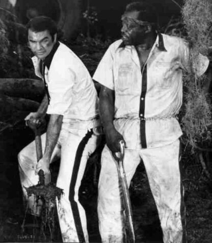 The Longest Yard (1974) Starring Burt Reynolds on DVD - Image 4
